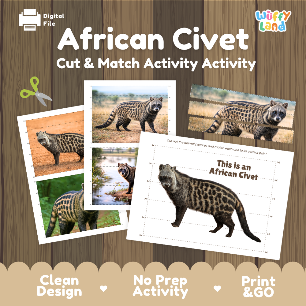 A digital printable activity sheet titled 'African Civet Cut & Match Activity' shown on a wood-textured background with sample printed cards and a 'Wiffy Land' logo. The design includes animal photos and a worksheet with an African civet illustration and text.