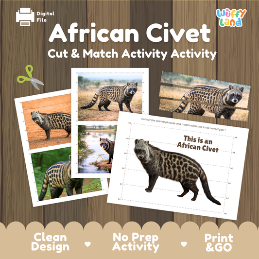 A digital printable activity sheet titled 'African Civet Cut & Match Activity' shown on a wood-textured background with sample printed cards and a 'Wiffy Land' logo. The design includes animal photos and a worksheet with an African civet illustration and text.