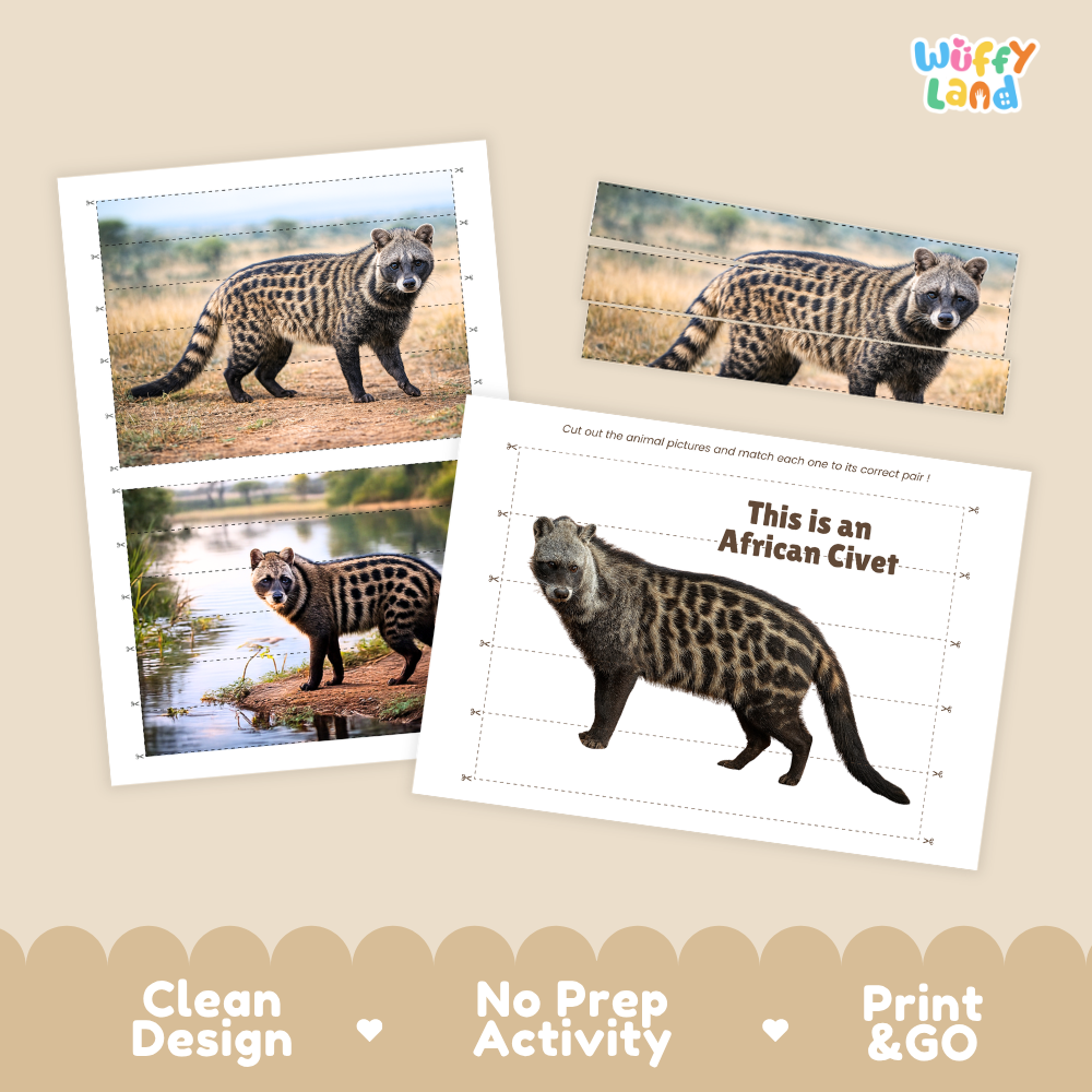 Three printed activity cards featuring African civet animal photos on a beige background, with the brand name Wiffy Land in the top right and marketing text along the bottom: Clean Design, No Prep Activity, Print & Go.