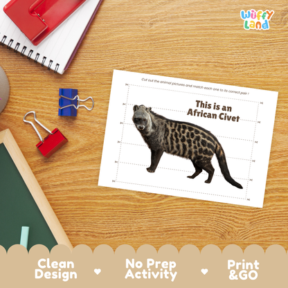 A children's print-and-go activity sheet on a wooden desk, featuring an African civet animal illustration with the text 'This is an African Civet.' Surrounding props include a spiral notebook, binder clips, a chalkboard edge, and a colorful 'Wiffy Land' logo in the top right.