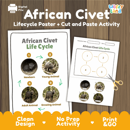 African Civet Life Cycle Poster and Cut and Paste Activity Worksheets