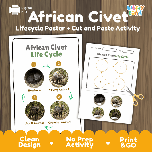 African Civet Life Cycle Poster and Cut and Paste Activity Worksheets