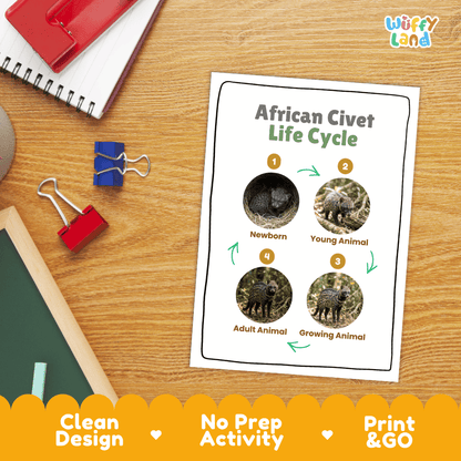 African Civet Life Cycle Poster and Cut and Paste Activity Worksheets