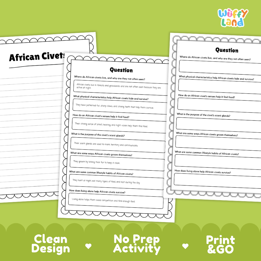 Three printable worksheet pages for an African Civets activity displayed on a light gray background with a green decorative border. The pages include headings like 'African Civets' and 'Question' with text boxes for writing answers.