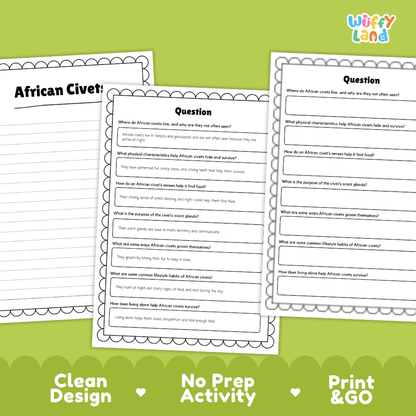 Three printable worksheet pages for an African Civets activity displayed on a light gray background with a green decorative border. The pages include headings like 'African Civets' and 'Question' with text boxes for writing answers.