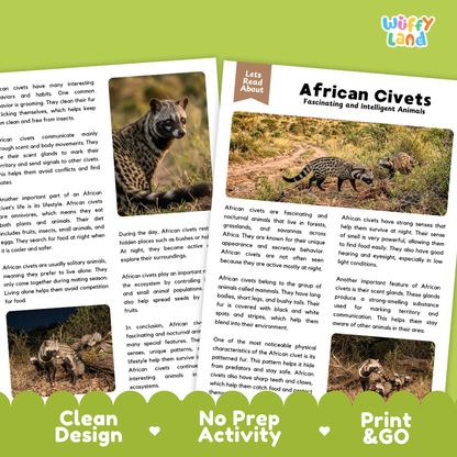 An educational activity sheet titled 'Lets Read About African Civets' from the brand 'Wuffly Land'. The sheet features a large photo of an African civet, text descriptions of their behavior and characteristics, and three small inset images showing children interacting with the product.