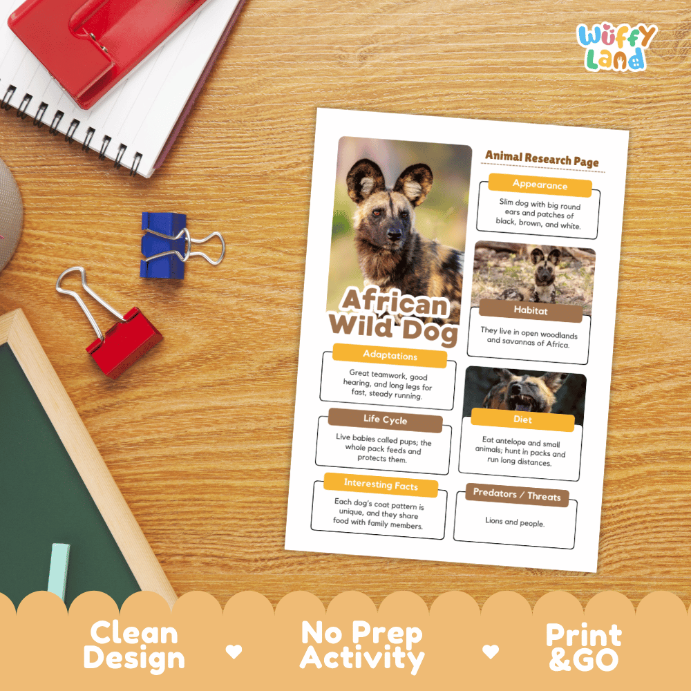 An educational printout titled 'African Wild Dog' laid flat on a wooden desk, surrounded by school supplies including a red notebook, binder clips, and a chalkboard. The print features a dog photo and text boxes for animal research.