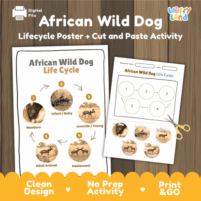 African Wild Dog Life Cycle Poster and Cut and Paste Worksheet Activity