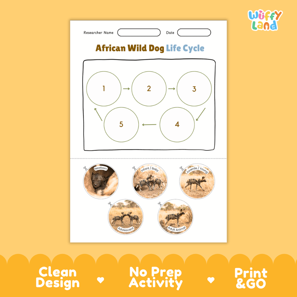 African Wild Dog Life Cycle Poster and Cut and Paste Worksheet Activity