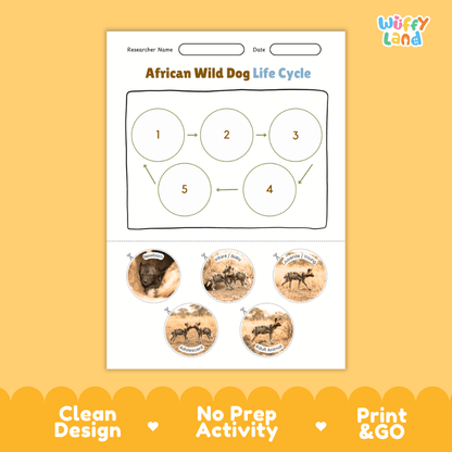 African Wild Dog Life Cycle Poster and Cut and Paste Worksheet Activity