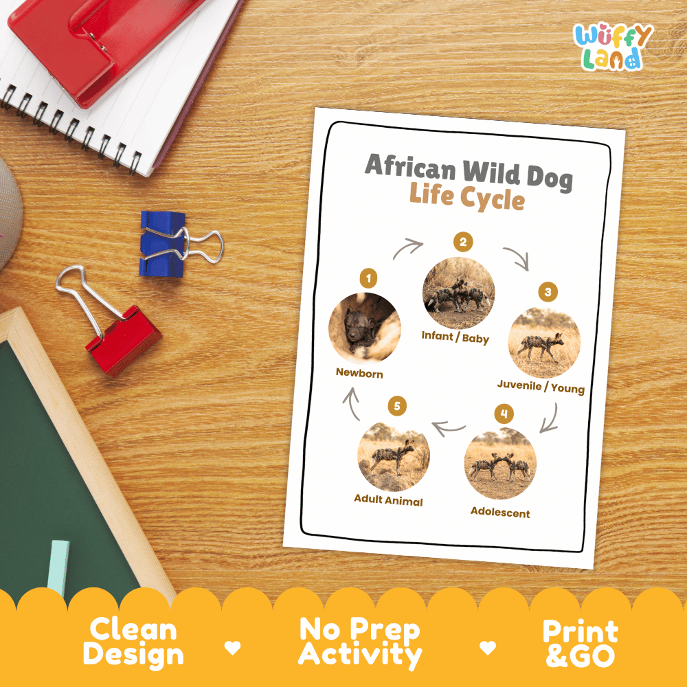 African Wild Dog Life Cycle Poster and Cut and Paste Worksheet Activity