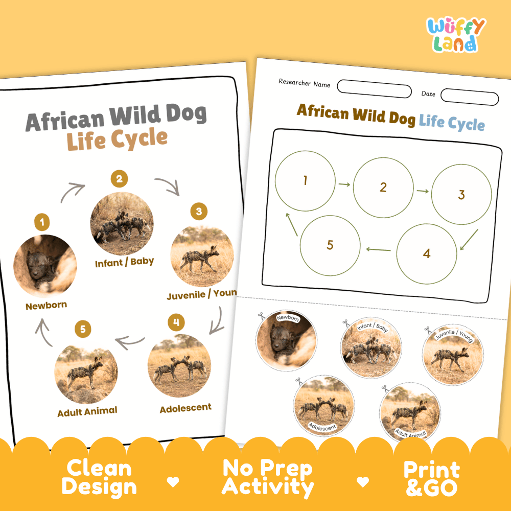 African Wild Dog Life Cycle Poster and Cut and Paste Worksheet Activity