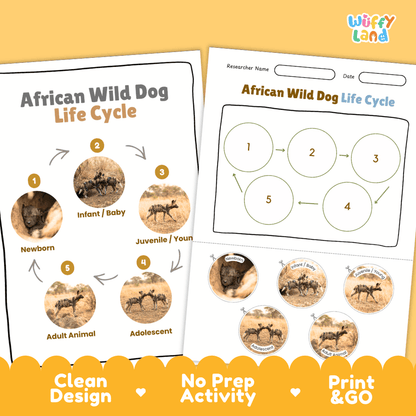 African Wild Dog Life Cycle Poster and Cut and Paste Worksheet Activity