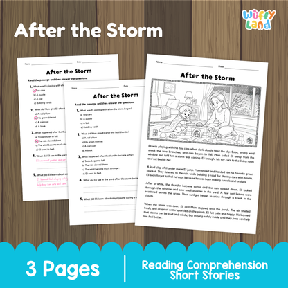 After the Storm Reading Comprehension Passage and Questions Worksheets