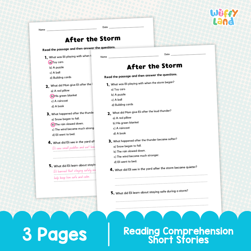 After the Storm Reading Comprehension Passage and Questions Worksheets
