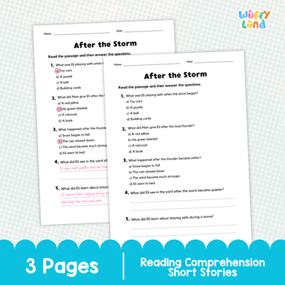 After the Storm Reading Comprehension Passage and Questions Worksheets
