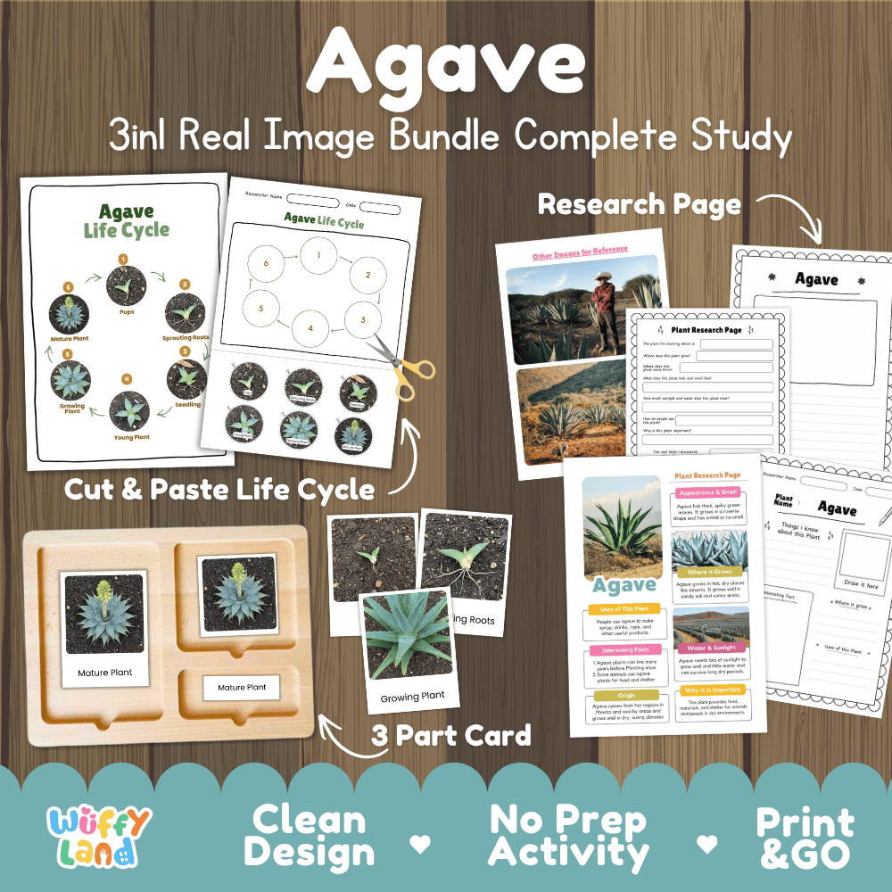 Agave plant 3in1 real image bundle complete study printable featuring life cycle cut and paste worksheets, Montessori 3-part cards, and research pages