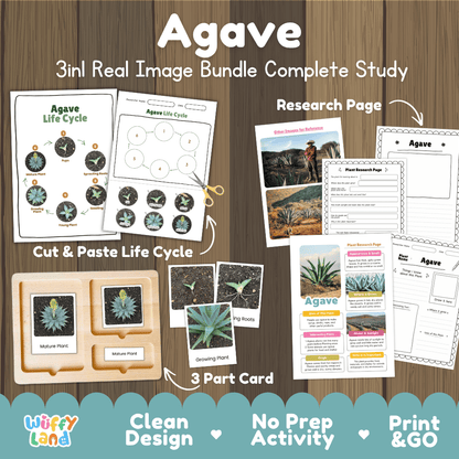 Agave plant 3in1 real image bundle complete study printable featuring life cycle cut and paste worksheets, Montessori 3-part cards, and research pages