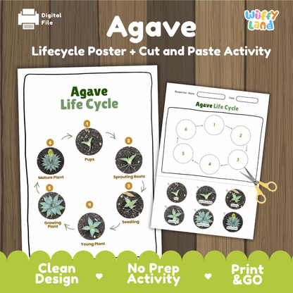 Agave Lifecycle Poster and Cut and Paste Activity Worksheets | Plant Science Printables