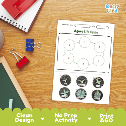 Agave Lifecycle Poster and Cut and Paste Activity Worksheets | Plant Science Printables