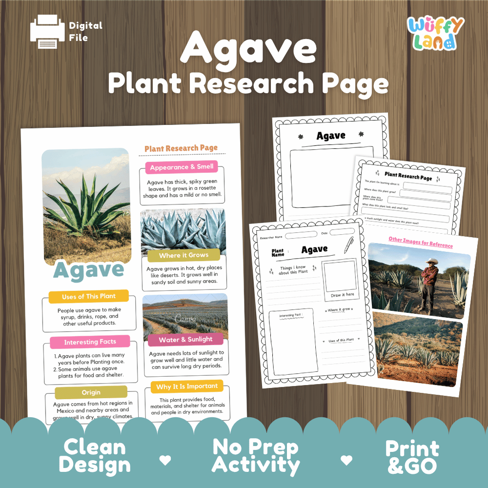 Agave Plant Research Page Worksheets and Information Poster