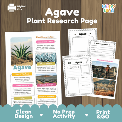 Agave Plant Research Page Worksheets and Information Poster