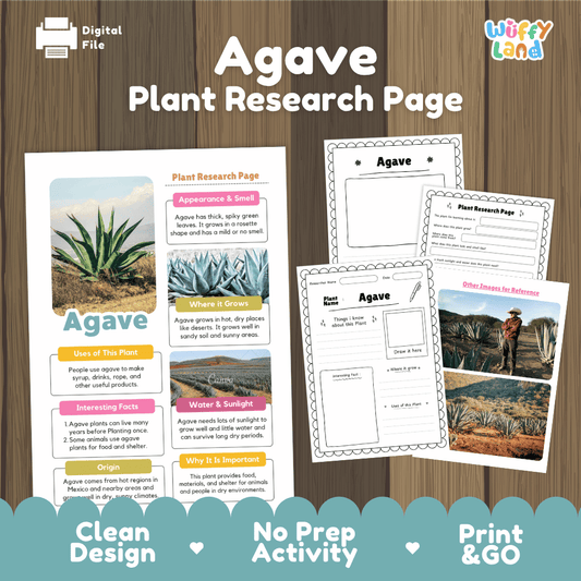Agave Plant Research Page Worksheets and Information Poster