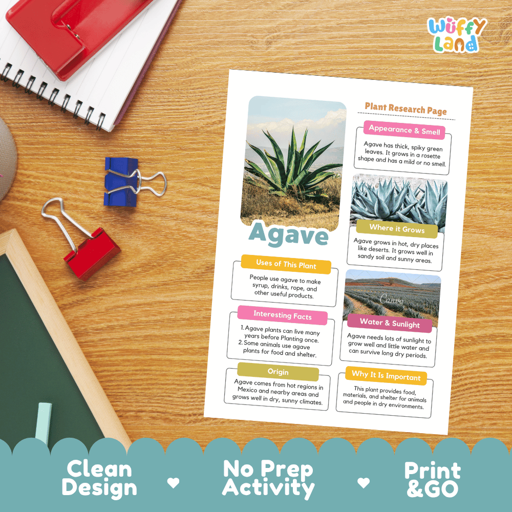 Agave Plant Research Page Worksheets and Information Poster