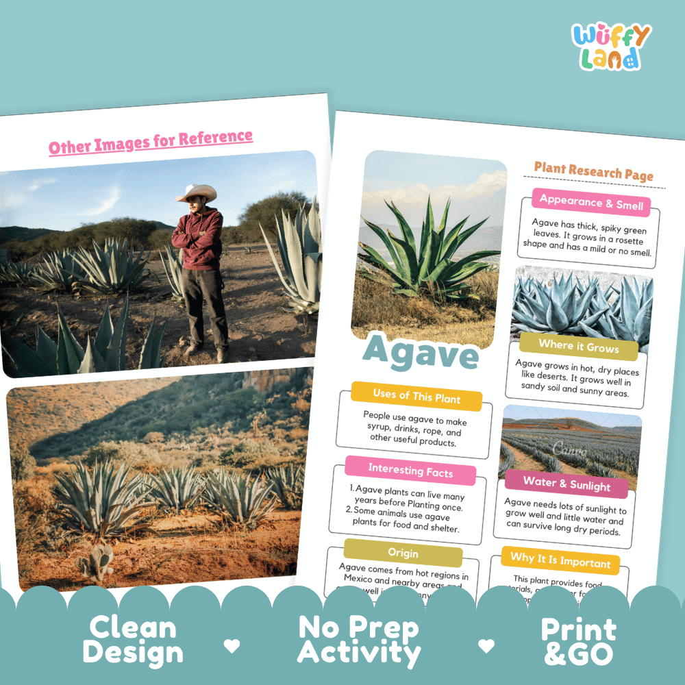 Agave Plant Research Page Worksheets and Information Poster