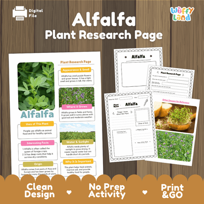 Alfalfa Plant Research Page Worksheets and Information Poster