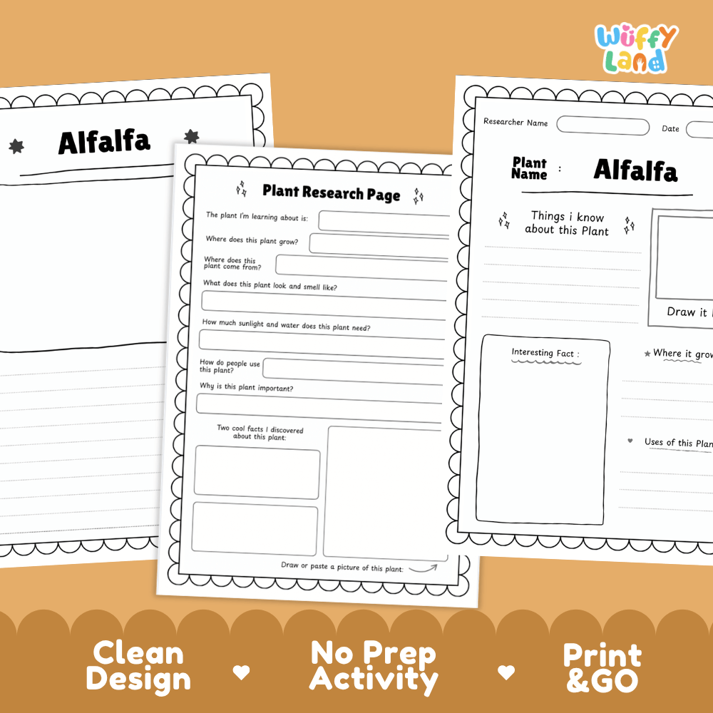 Alfalfa Plant Research Page Worksheets and Information Poster