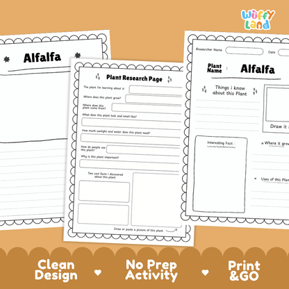 Alfalfa Plant Research Page Worksheets and Information Poster