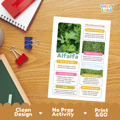 Alfalfa Plant Research Page Worksheets and Information Poster