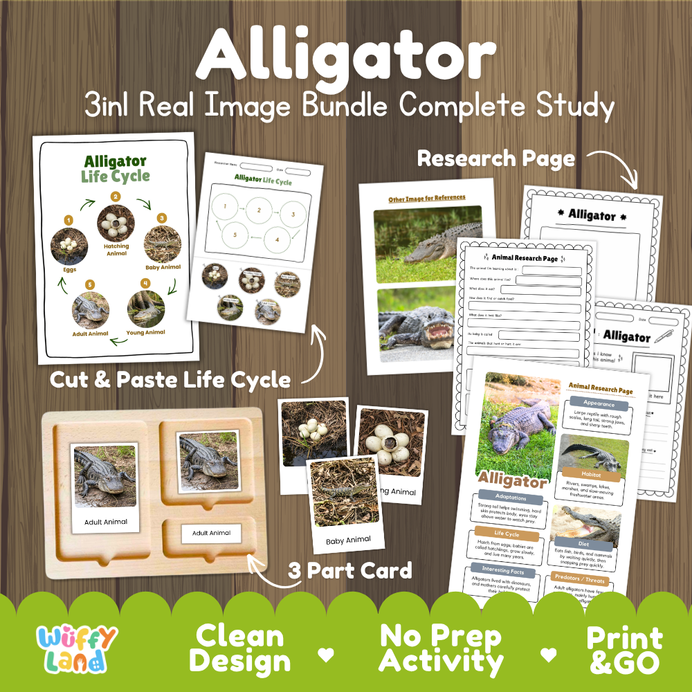 Alligator 3-in-1 real image bundle complete study cover showing cut and paste life cycle, 3 part cards, and research pages
