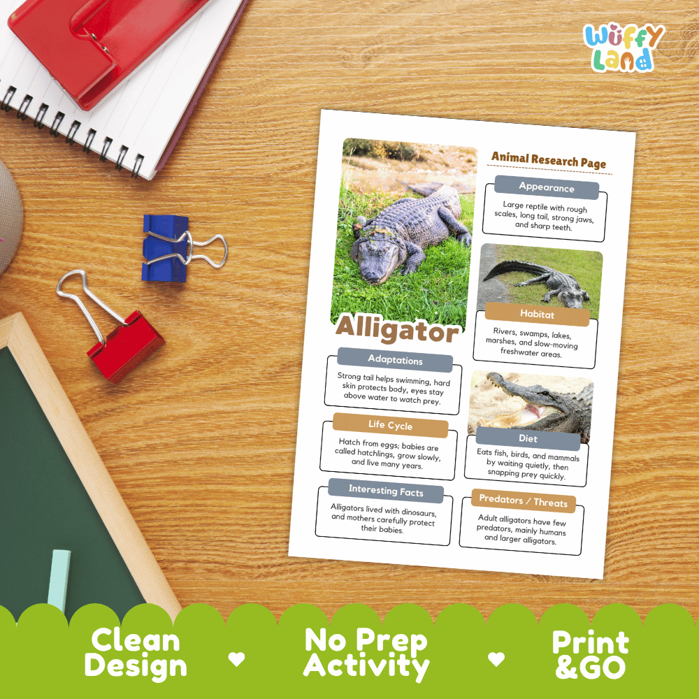 Alligator Animal Research Page Worksheets