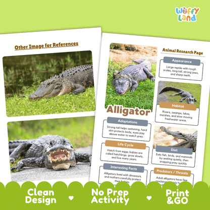 Alligator Animal Research Page Worksheets