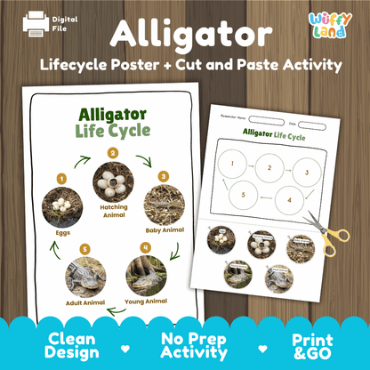 Alligator Lifecycle Poster and Cut and Paste Activity Worksheets | Reptile Science Printables