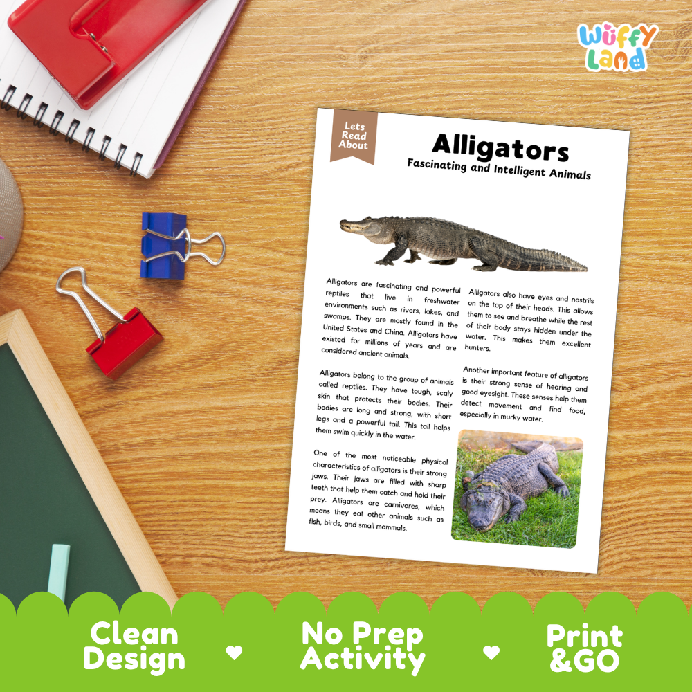 An educational activity sheet about alligators laid on a wooden desk, surrounded by school supplies like a spiral notebook, red binder clips, and a red folder. The sheet has text, a small alligator photo, and a larger alligator illustration.