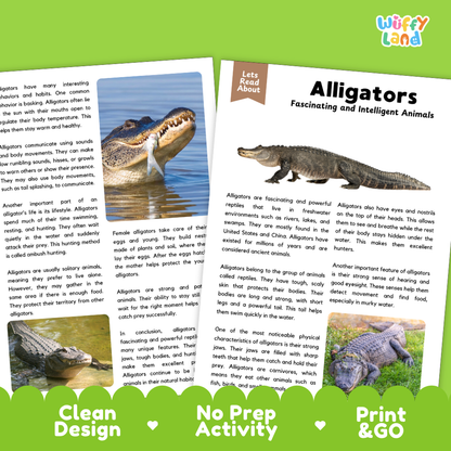 An educational activity booklet about alligators, shown as a double-page spread with a large photo of a green alligator on the left page and text reading 'Let's Read About Alligators Fascinating and Intelligent Animals' on the right page. The booklet is displayed on a white background with a green banner at the bottom that reads 'Clean Design No Prep Activity Print & GO' and a small 'wuffly land' logo in the top right corner.