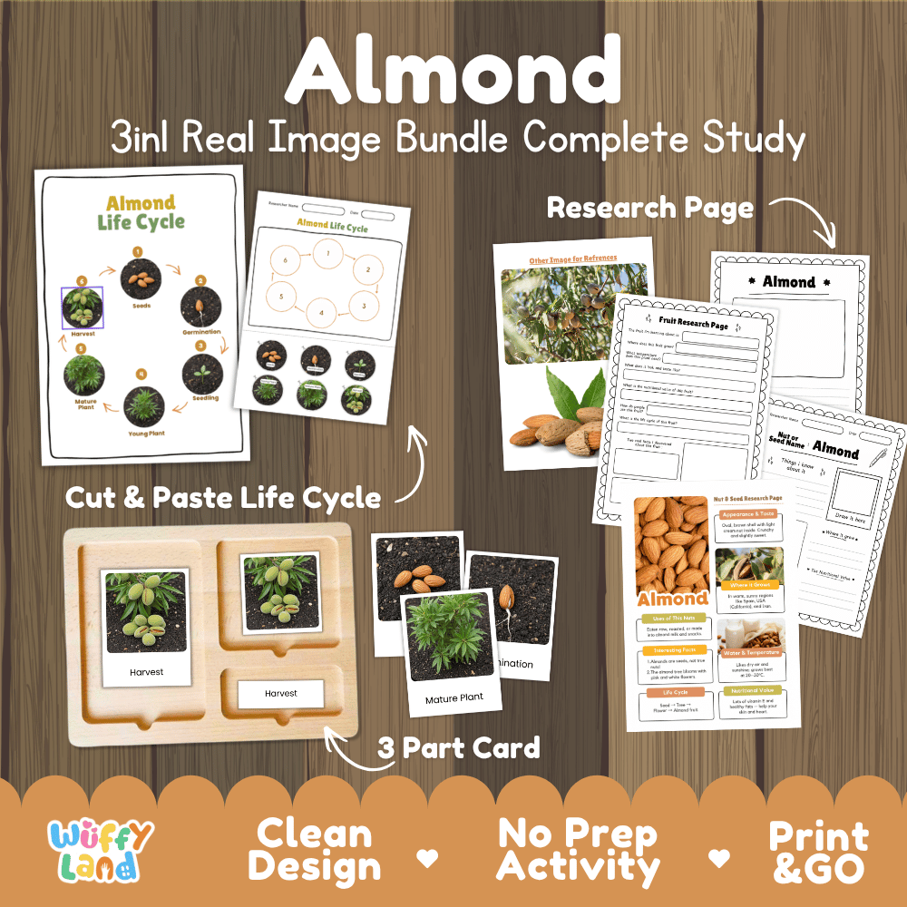 Complete Almond 3-in-1 real image study bundle featuring cut and paste worksheets, Montessori 3-part cards, and research pages 🌰🌱