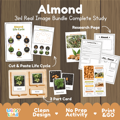 Complete Almond 3-in-1 real image study bundle featuring cut and paste worksheets, Montessori 3-part cards, and research pages 🌰🌱