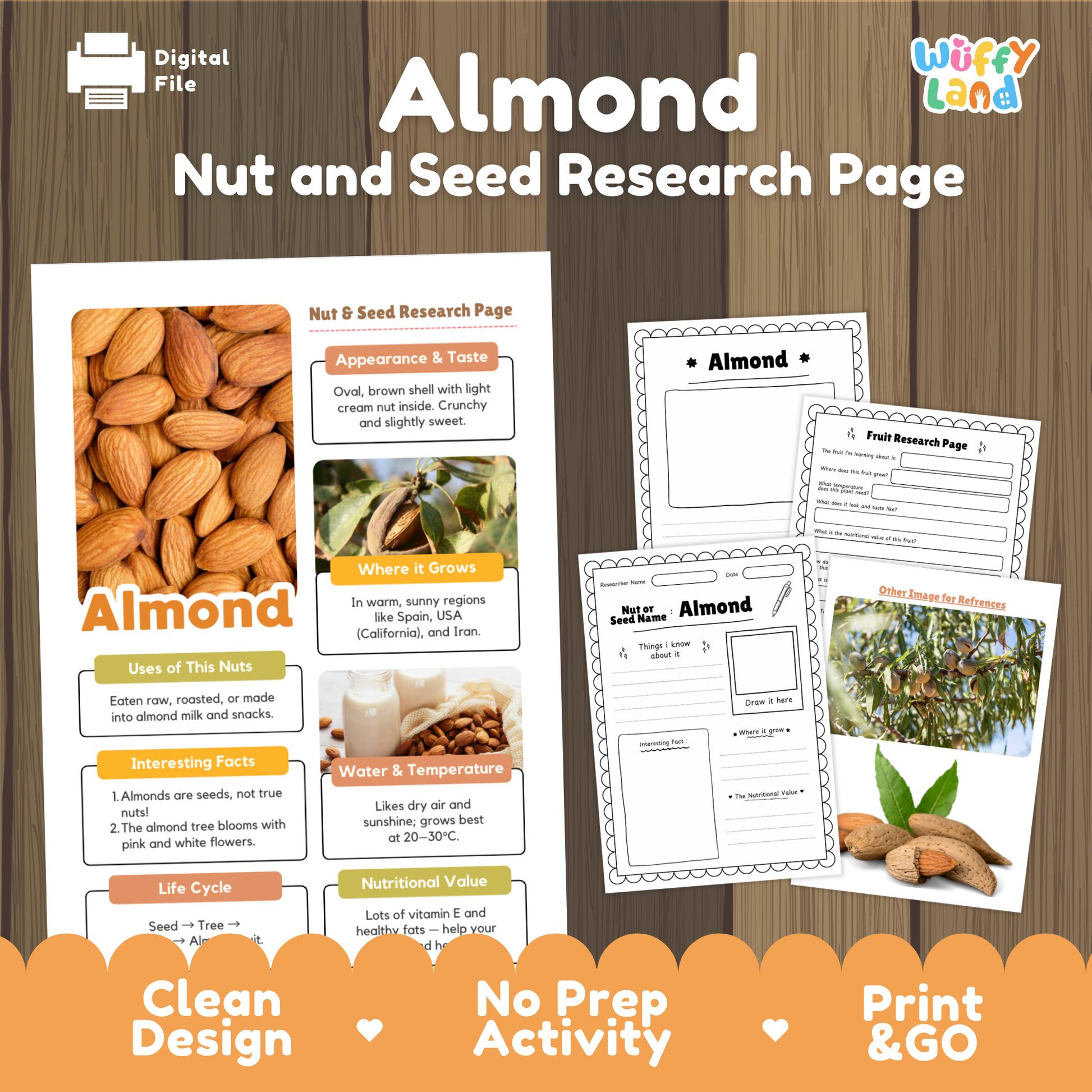Almond Nut and Seed Research Page digital download product by Wiffly Land, featuring a main poster page with almond facts and illustrations, two worksheet pages, and promotional text on a wood background with orange banners.