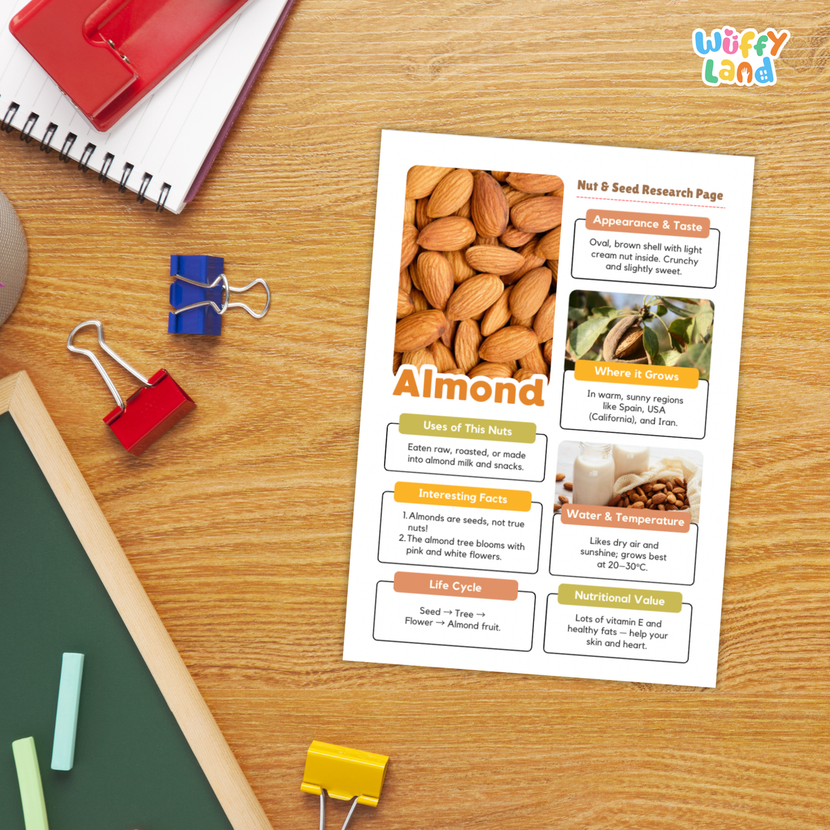 A printed educational poster about almonds laid on a wooden desk, surrounded by school supplies including a spiral notebook, binder clips, chalk, and a ruler. The poster has colorful text boxes and a photo of almonds.