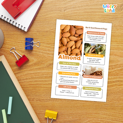 A printed educational poster about almonds laid on a wooden desk, surrounded by school supplies including a spiral notebook, binder clips, chalk, and a ruler. The poster has colorful text boxes and a photo of almonds.