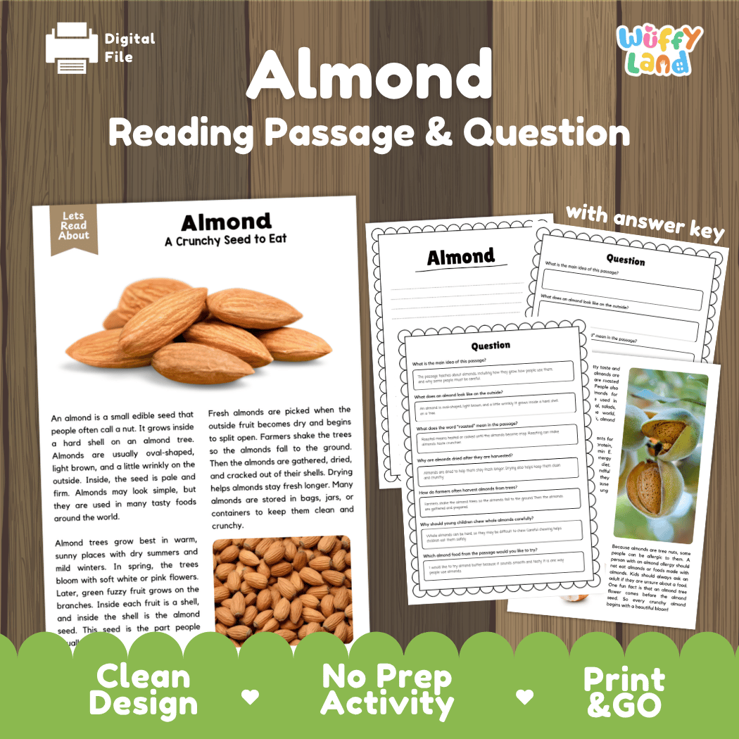 Almond Reading Passage & Question digital activity sheet set by Wiffly Land, featuring a wooden background with three printed worksheet pages, almond photos, and promotional text for a clean, no-prep print-and-go design.