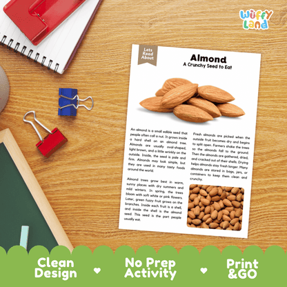 A printed activity sheet titled 'Almond A Crunchy Seed to Eat' laid on a wooden desk, surrounded by a red notebook, blue binder clips, and a white mug. The sheet includes a small photo of an almond and descriptive text about almonds.