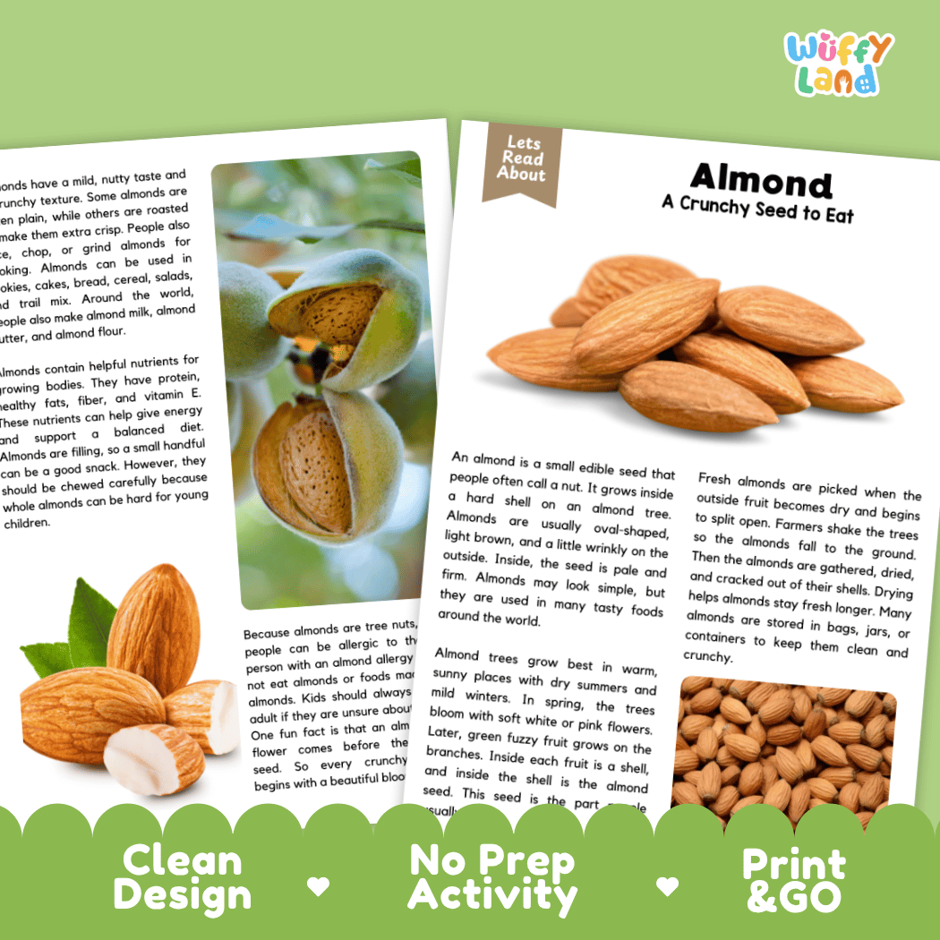 Three educational activity cards about almonds arranged on a white background with printed text panels. The cards show colorful illustrations of almonds and the text 'Let's Read About' and 'Almond A Crunchy Seed to Eat.