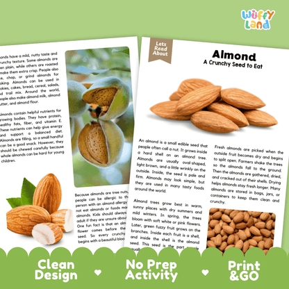 Three educational activity cards about almonds arranged on a white background with printed text panels. The cards show colorful illustrations of almonds and the text 'Let's Read About' and 'Almond A Crunchy Seed to Eat.