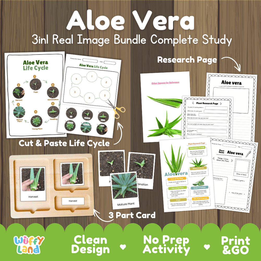 Aloe vera plant 3in1 real image bundle complete study printable featuring life cycle cut and paste worksheets, Montessori 3-part cards, and research pages