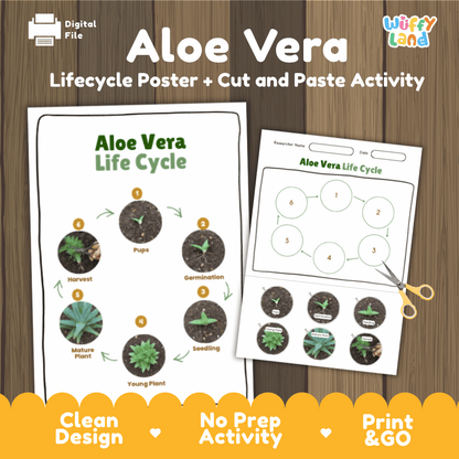 Aloe Vera Lifecycle Poster and Cut and Paste Activity Worksheets | Plant Science Printables